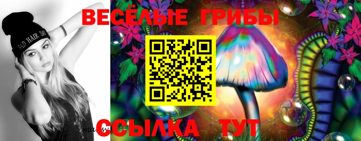 Биробиджан  Галлюциногенные грибы Psilocybe  Вход с VPN 